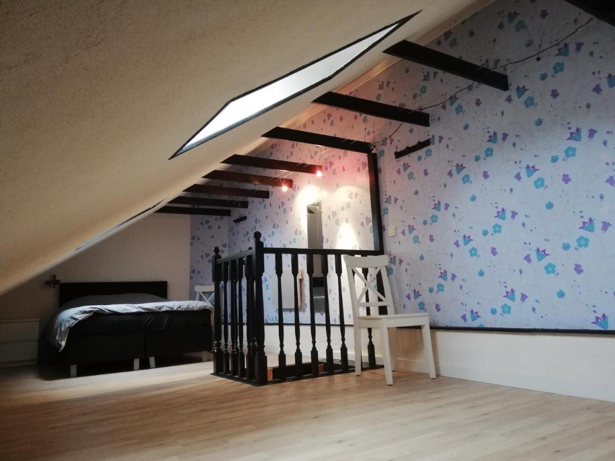 Maison Camaret Sur Mer 외부 사진